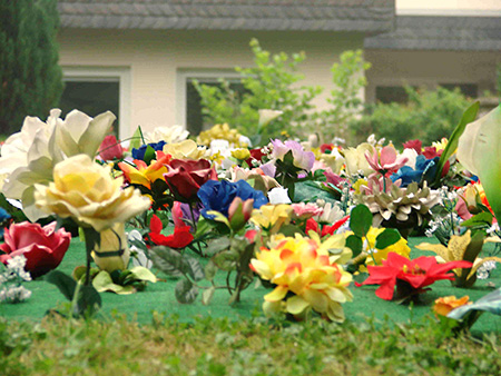 Blumenkunst von Tina Schwichtenberg