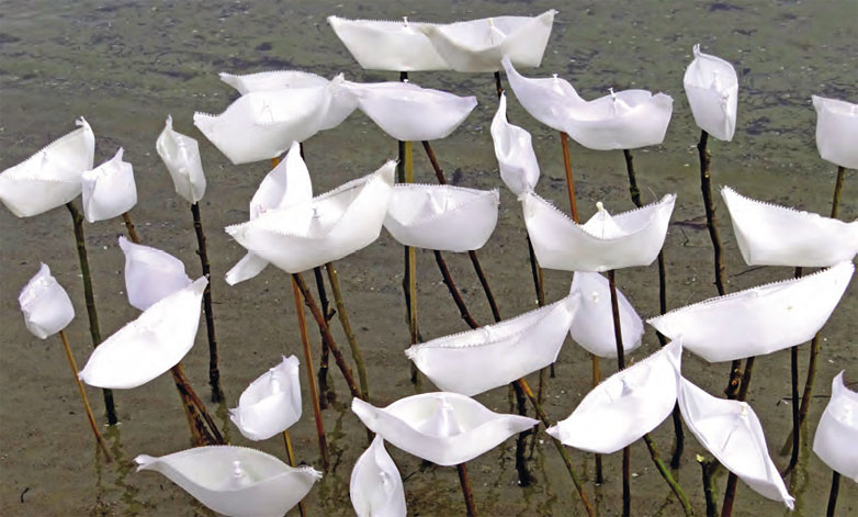 Irritationen, Tina Schwichtenberg