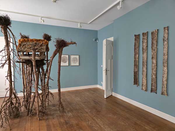 Tina Schwichtenberg-Gerisch Stiftung