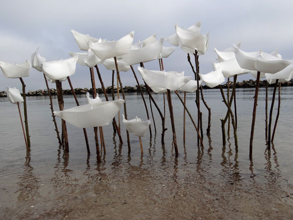 Tina Schwichtenberg-LAMPEDUSA